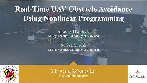Real Time UAV Obstacle Avoidance Using Nonlinear Programming