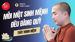 Sư Minh Niệm - Mỗi SINH MỆNH Đều ĐÁNG QUÝ, Ta Phải Biết Trân Trọng | Radio Phật Pháp