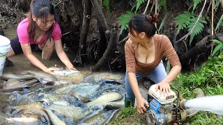 TOP VIDEO: Unique Fishing, Survival Fishing Catching Many Big Fish - Survival Skills | Ana Fishing