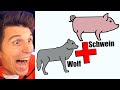 Was passiert, wenn Schwein & Wolf KINDER bekommen?