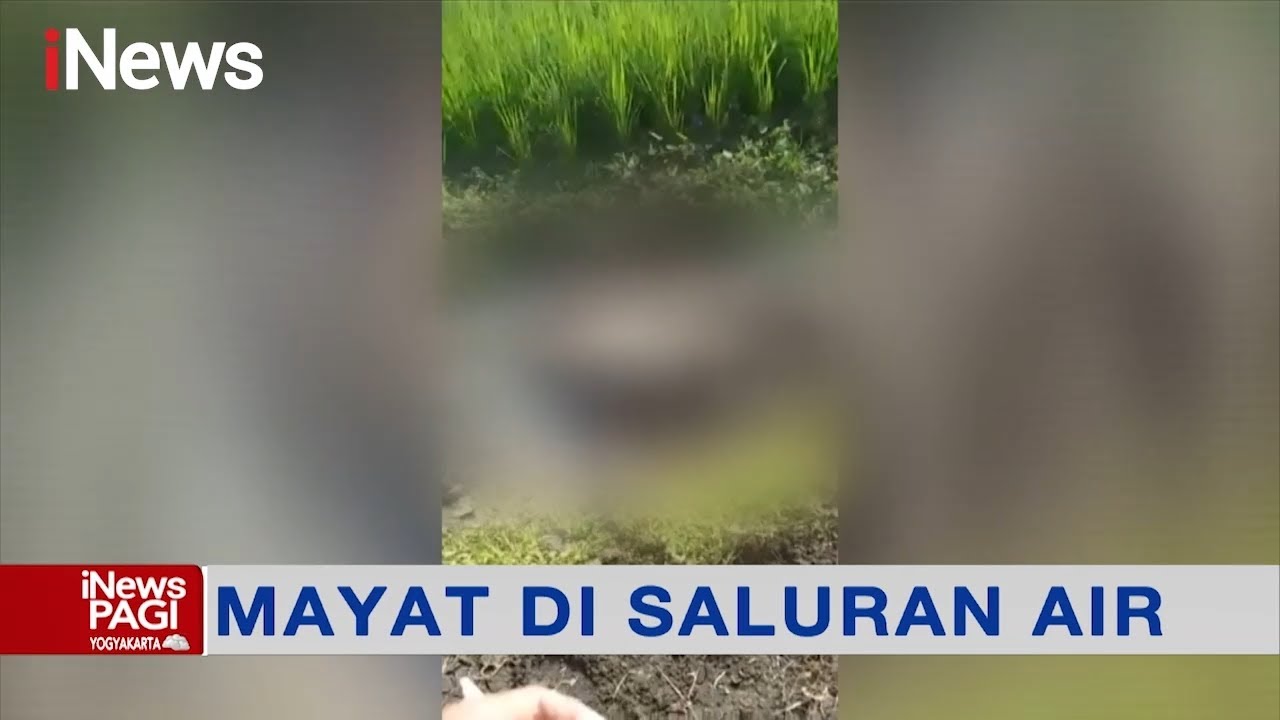 Penemuan Jenzah Tanpa Identitas di Saluran Air di Jombang Gemparka Warga #iNewsPagi 12/08