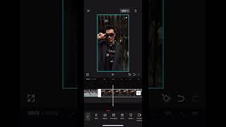 Creative Reels and TikTok Ideas - CapCut Tutorial