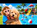 Affe JoJo bringt seinen Welpen in den Wasserpark und erlebt ein lustiges Pool-Abenteuer!