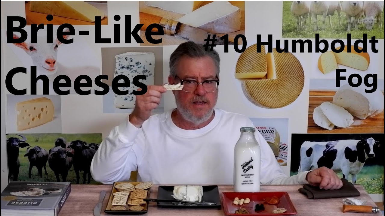 Brie-Like Cheeses #10 - Humboldt Fog from Cypress Grove