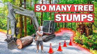 Building My 700ft Forest Driveway on a BUGDET