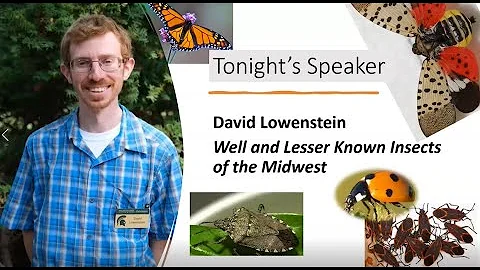 Well and Lesser Known Insects of the Midwest with ...