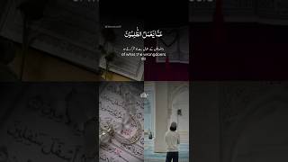 Quran Tilawat Listen👂 And Feel Peace Of Mind. #shorts #trustonallah #quran