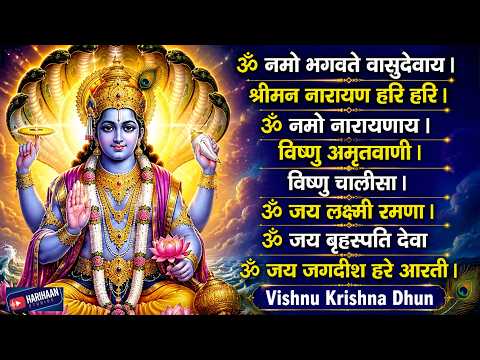 ॐ नमो भगवते वासुदेवाय 🙏 श्रीमन नारायण हरि हरि | ॐ नमो नारायणाय | विष्णु अमृतवाणी विष्णु चालीसा Aarti