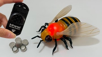 Unboxing RC Insect Bee, New Energy Concept RC Racing Car, Gear EV Dinosaur Car, RC Drift Racing Car