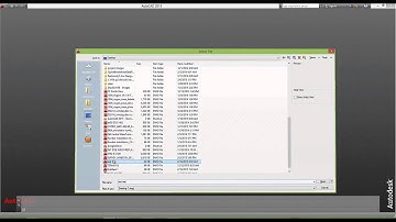 INT 560 5.3 Illustrator to AutoCAD Workflow