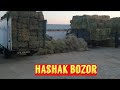 XAShAK BOZOR