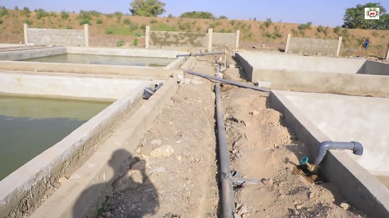 በወንጂ/ሸዋ ስኳር ፋብሪካ በተጓዳኝ ልማት ስራዎቻችን እየተከናወነ የሚገኘው የዘመናዊ የአሳ እርባታና የግንባታ ማስፋፊያ ጣቢያ ቅኝት!