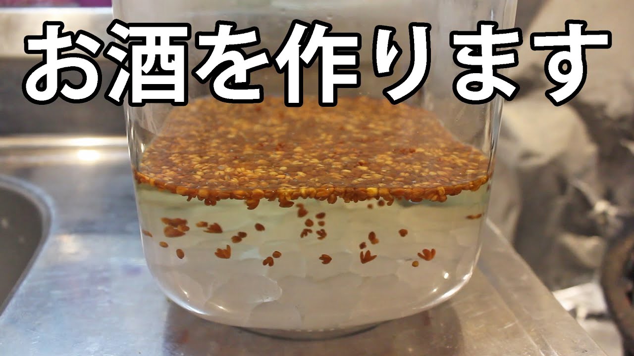 金木犀のお酒を作ってみた 前編 桂花陳酒 果実酒 Youtube