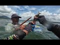 Menjaring ikan di laut dapat banyak ikan baronang