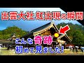 ⚠️緊急配信!【神在月の奇跡】この動画に出会った方は 意味がありますね