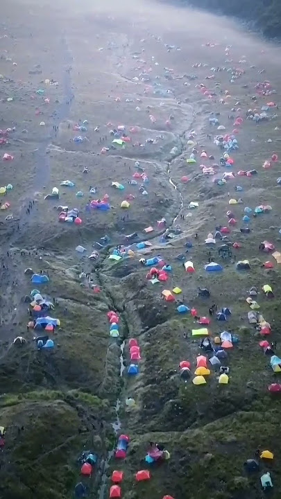Udah kaya PasaršGunung Gede Surken #feedshorts #shortvideo #shorts #gununggede #gununggedepangrango