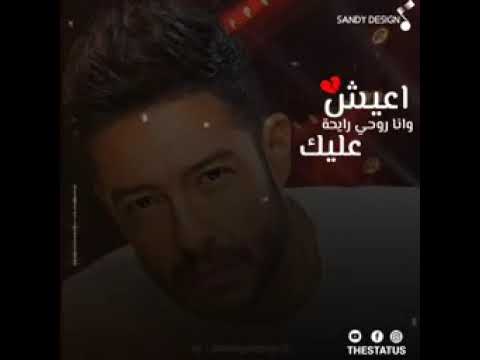 هوا انت مستكتر