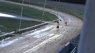 C0211  RACE 6 ASKERN STADIUM FRIDAY 1st APRIL