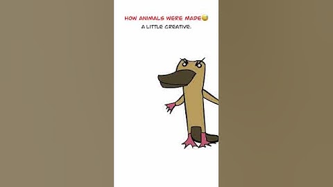 Animal Designs 😅 (Animation Meme) Anim: ​⁠​⁠@Cartoonimation  #shorts