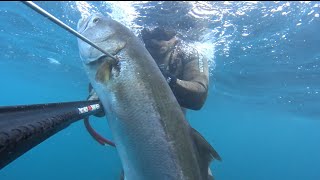 Kofana Avı & Bluefish Spearfishing
