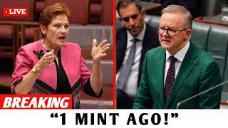 BREAKING: Pauline Hanson DESTROYS Labor in SHOCKING Racial Inequality Showdown