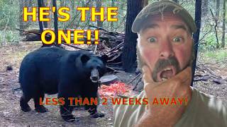 BEAR HUNTING WISCONSIN! SEASON IS VERY CLOSE!!