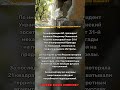 Украина — Россия теряет территорию впервые за месяцы #shorts