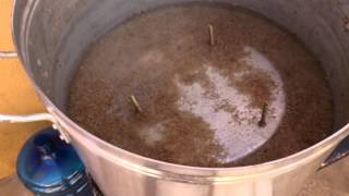 Batch Sparge Triumvirat