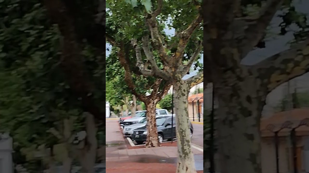 Plaza De Tres Lomas