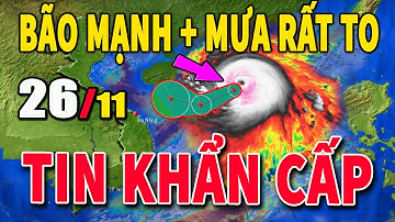 Bão Số 15 Đe Dọa Trực Tiếp Miền Trung - Cảnh Báo Khẩn Cấp!
