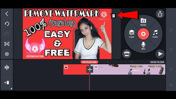 HOW TO REMOVE KINEMASTER WATERMARK FOR FREE 2021 | EASY STEPS | TAGALOG TUTORIAL