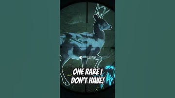 Do YOU have this RARE??? The Hunter: Call of the Wild