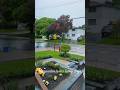 Rainy day #canadalife #tinygarden