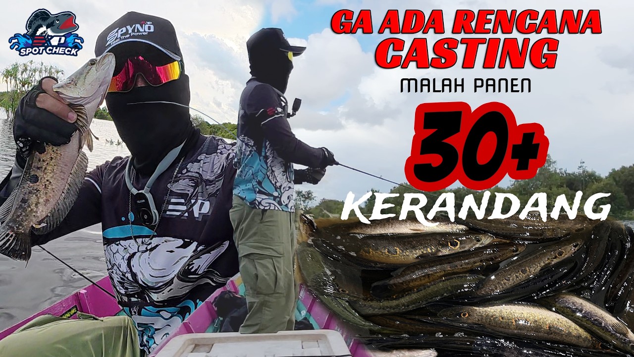 BERUNTUNG BANGET RASANYA DISITUASI KAYA GINI BISA STRIKE BERTUBI-TUBI DI SPOT SEBANGAU - KALIMANTAN.