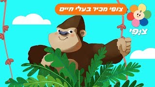 ללמוד על חיות עם צבעים לילדים | טלוויזיה חינוכית בעברית לגיל הרך חינם | תכניות לילדים ופעוטות | צופי