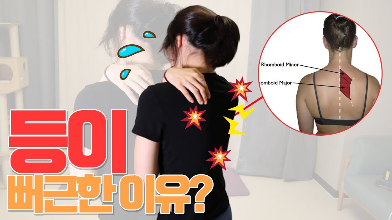날개뼈 안쪽 뻐근!통증! 날리는 최고의 마약 스트레칭~!!!/Stretch for pain between shoulder blades