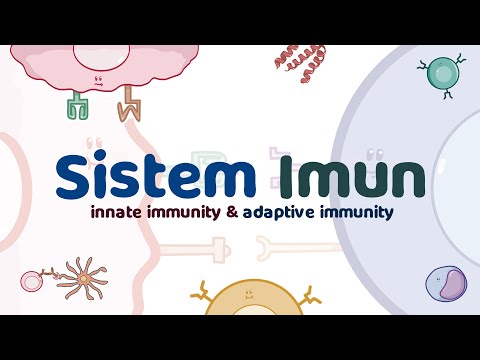 Video: Apakah imunopatologi jenis ke-2?
