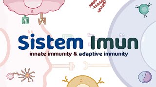 Apa Itu Sistem Imun 