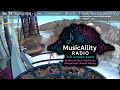 Live Bird Feeder Cam Unique AI Music 24 7 MusicAiLity Radio
