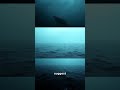 Voices in the Darkness: Unexplained Echoes from Ocean Trenches