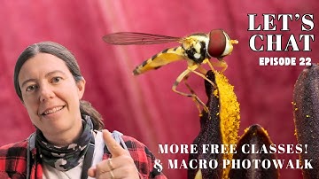 Wednesday recap: Free photo classes, and a macro photo walk