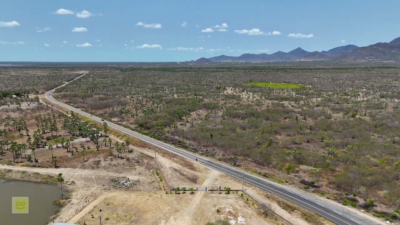 A CAATINGA, SERTÃO CEARENSE