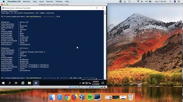 Checking and Changing your IP Address in Windows Server 2019 in PowerShell and GUI