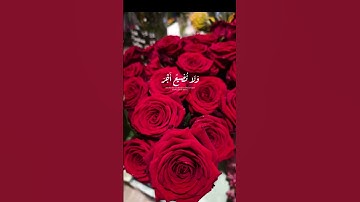 قران كريم بصوت جميل جدا ورائع #اكسبلور #راحة_نفسية #لايك #تيك_توك #دويتو #حالات_واتس #راحه_نفسيه