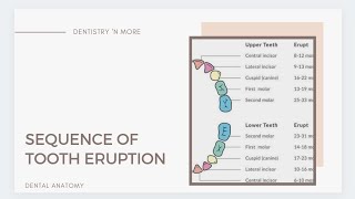 ERUPTION SEQUENCE OF TEETH