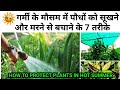 गर्मियों में भी हरा भरा रहेगा गार्डन, ये 7 काम अभी कीजिये | How To Protect Plants In Summer