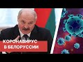 Коронавирус в Белоруссии. Лукашенко заявил о двукратном снижении числа пневмоний.