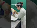 #funny #funnypets #youtube #cat #funnyanimals