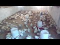 Mon élevage poulet de chaire avec simple matériel