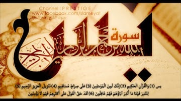 سورة يس مقام الرست